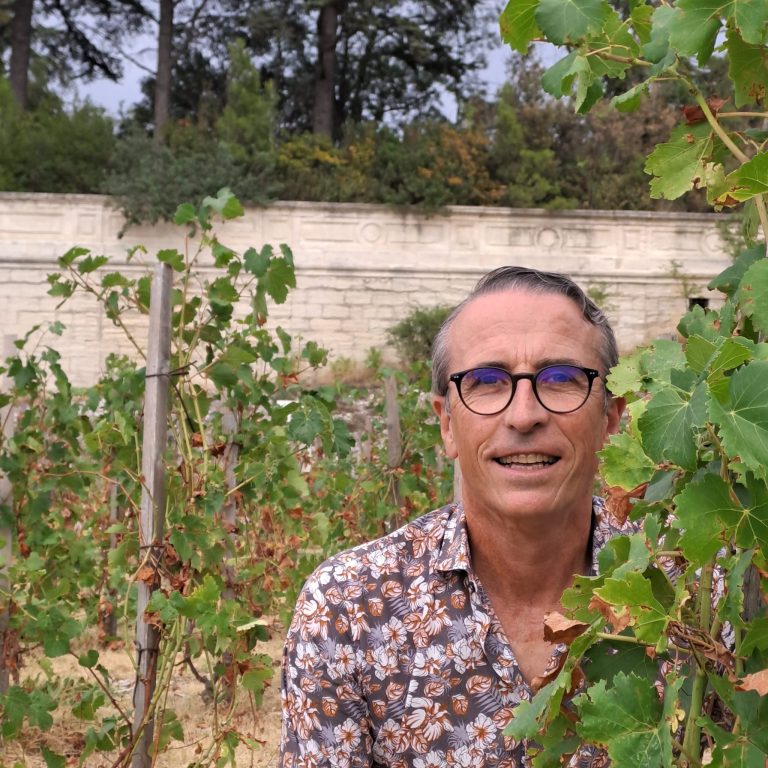 Commercial en vin avignon herve rault