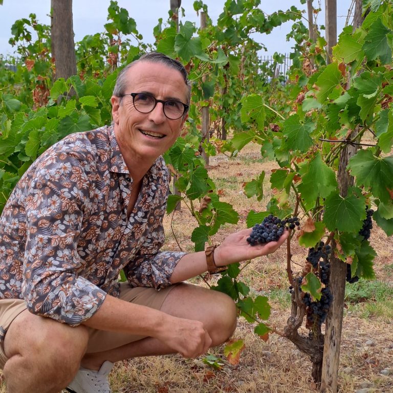 Reves de vins Avignon herve